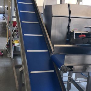 Linea Grissini Tromp